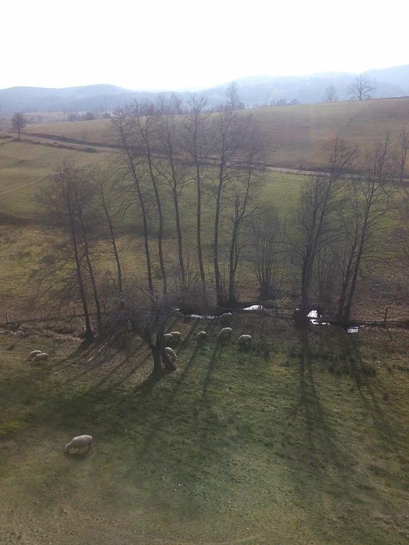 Apartment Gledovic Zlatibor Zewnętrze zdjęcie